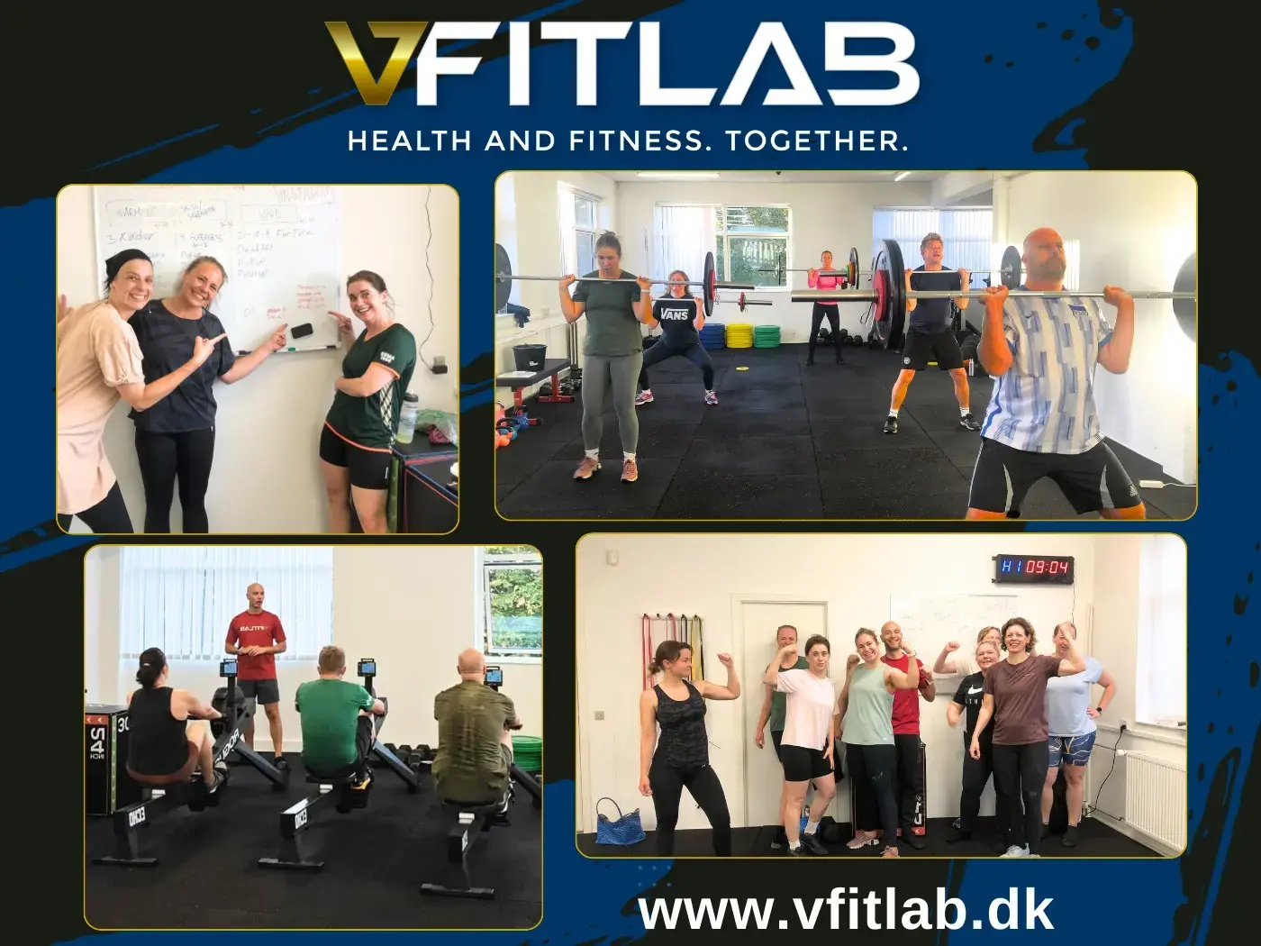 VFitLab