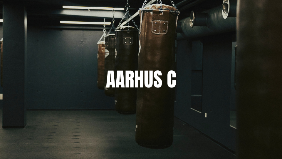 Rules - Aarhus C