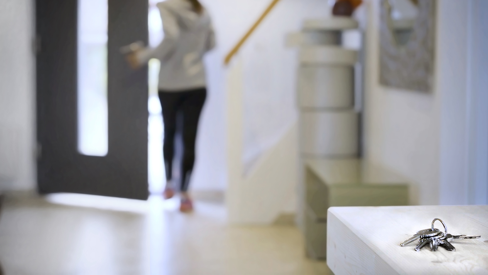 Smart adgangskontrol med Danalock-integration