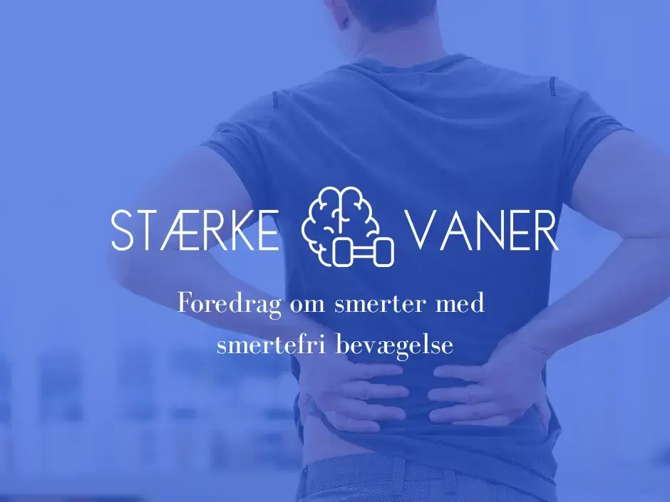 Foredrag om smerter - med smertefri bevægelse