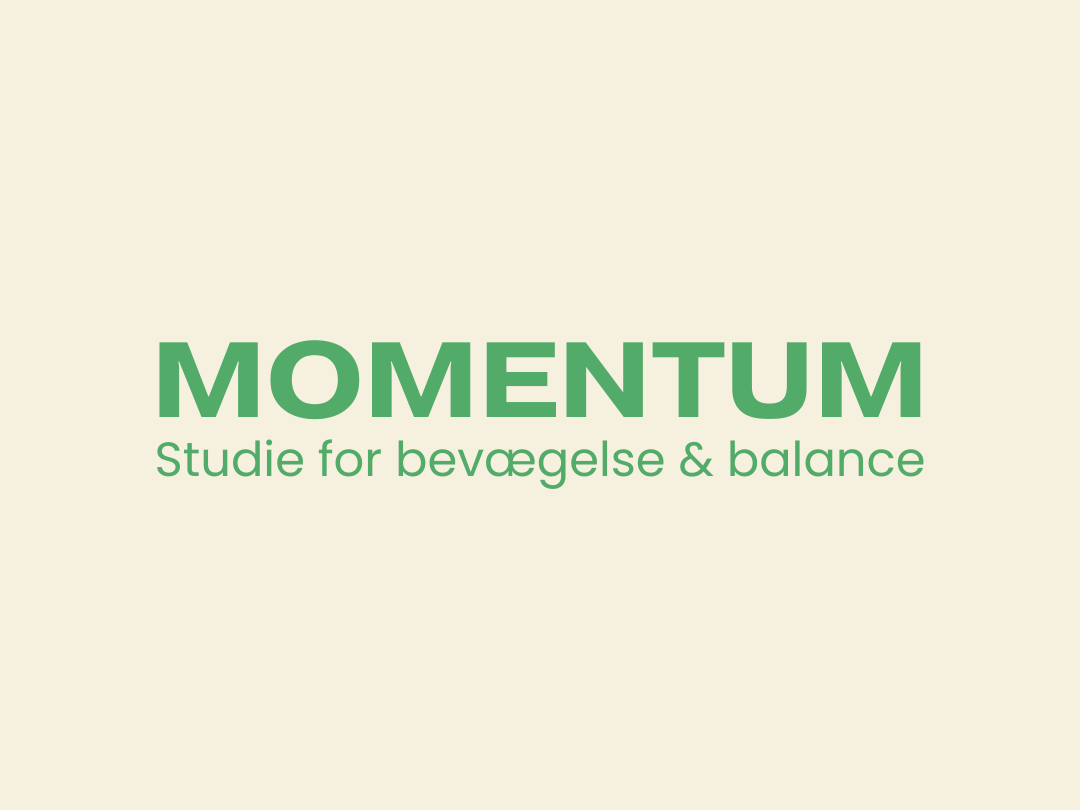 Momentum Studie